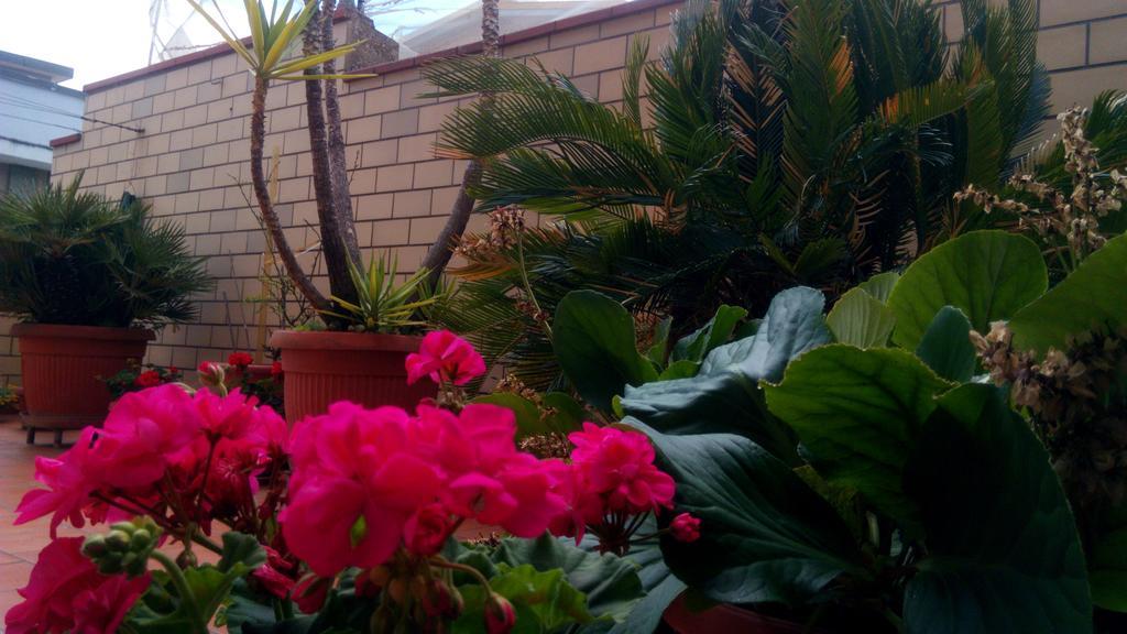 فيلا Casa Bilu' ماتيرا المظهر الخارجي الصورة